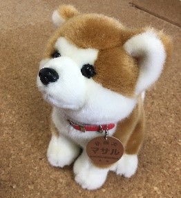 akitainu